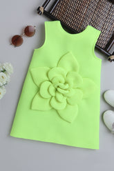 TINY MINY MEE Sleeveless Floral Applique Detailed Dress