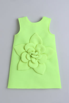TINY MINY MEE Sleeveless Floral Applique Detailed Dress