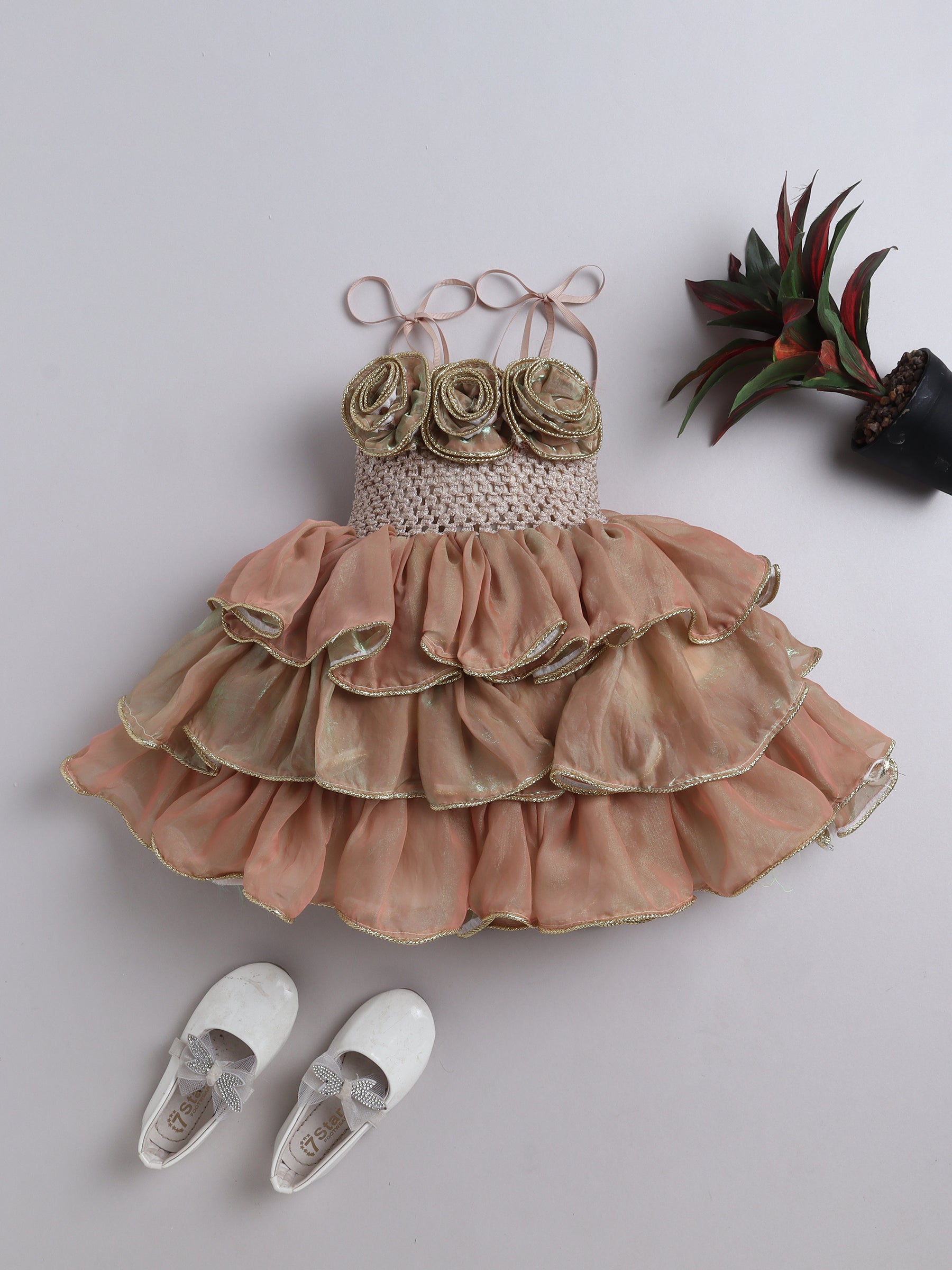 Rose Ruffle Party Layered Tutu Dress