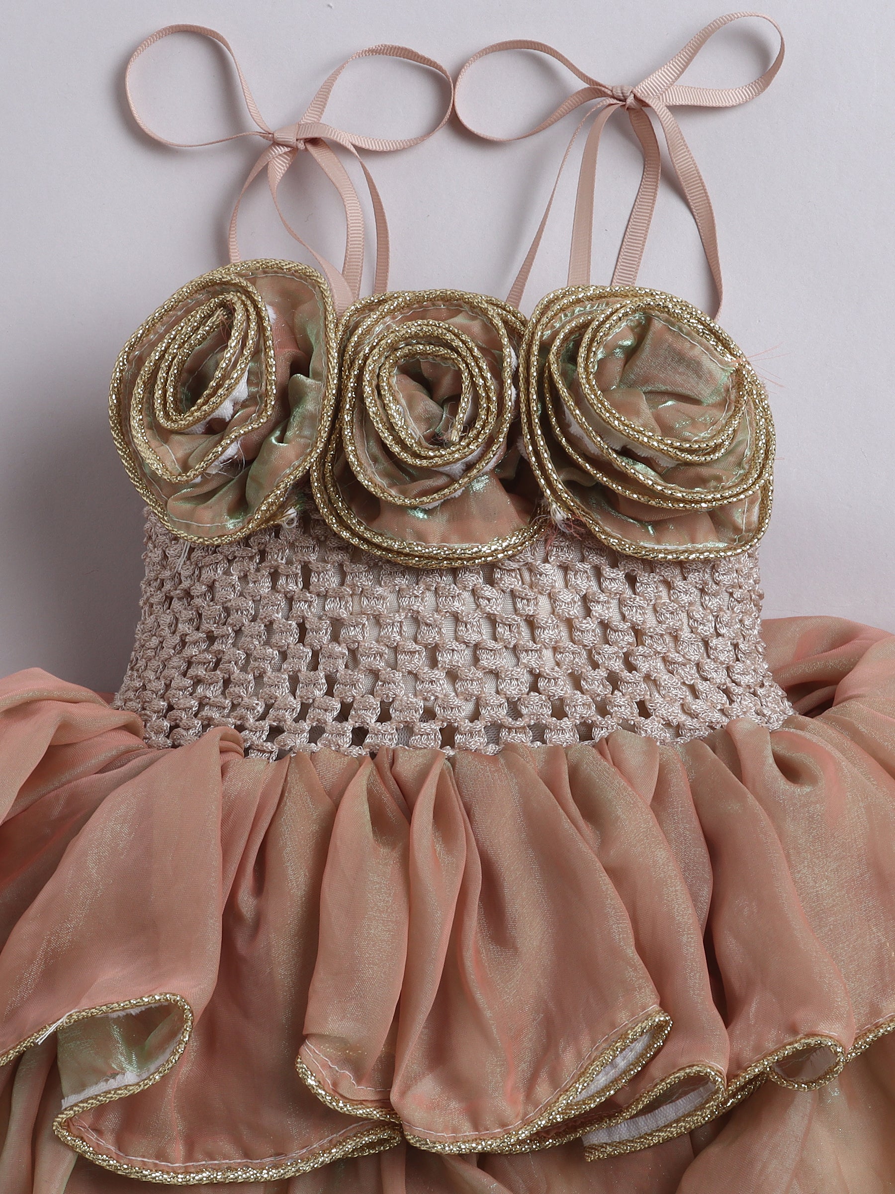 Rose Ruffle Party Layered Tutu Dress