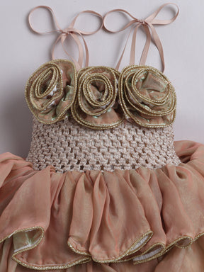 Rose Ruffle Party Layered Tutu Dress